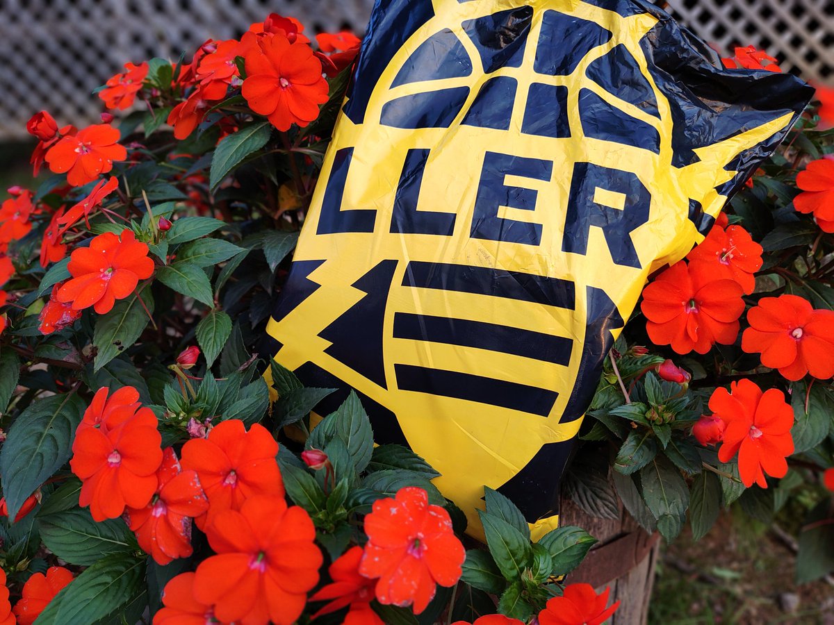 Seem we were invested w <a href="/Killer3sBig3/">Killer 3's</a> at camp today.  Congrats Green Team.