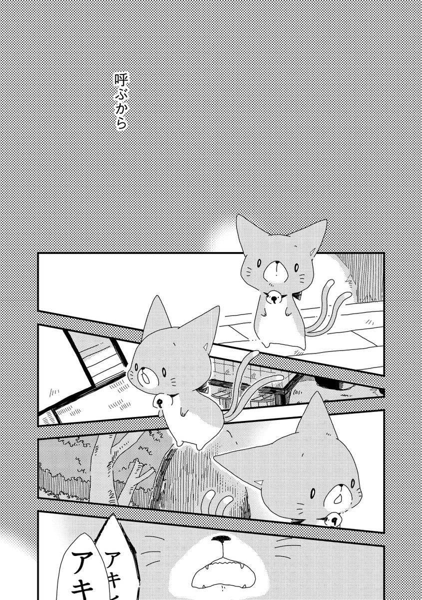 小さな猫またと少年が出会った話。33・34話(3/3)【過去作】  #漫画が読めるハッシュタグ #うちのねこマタ 