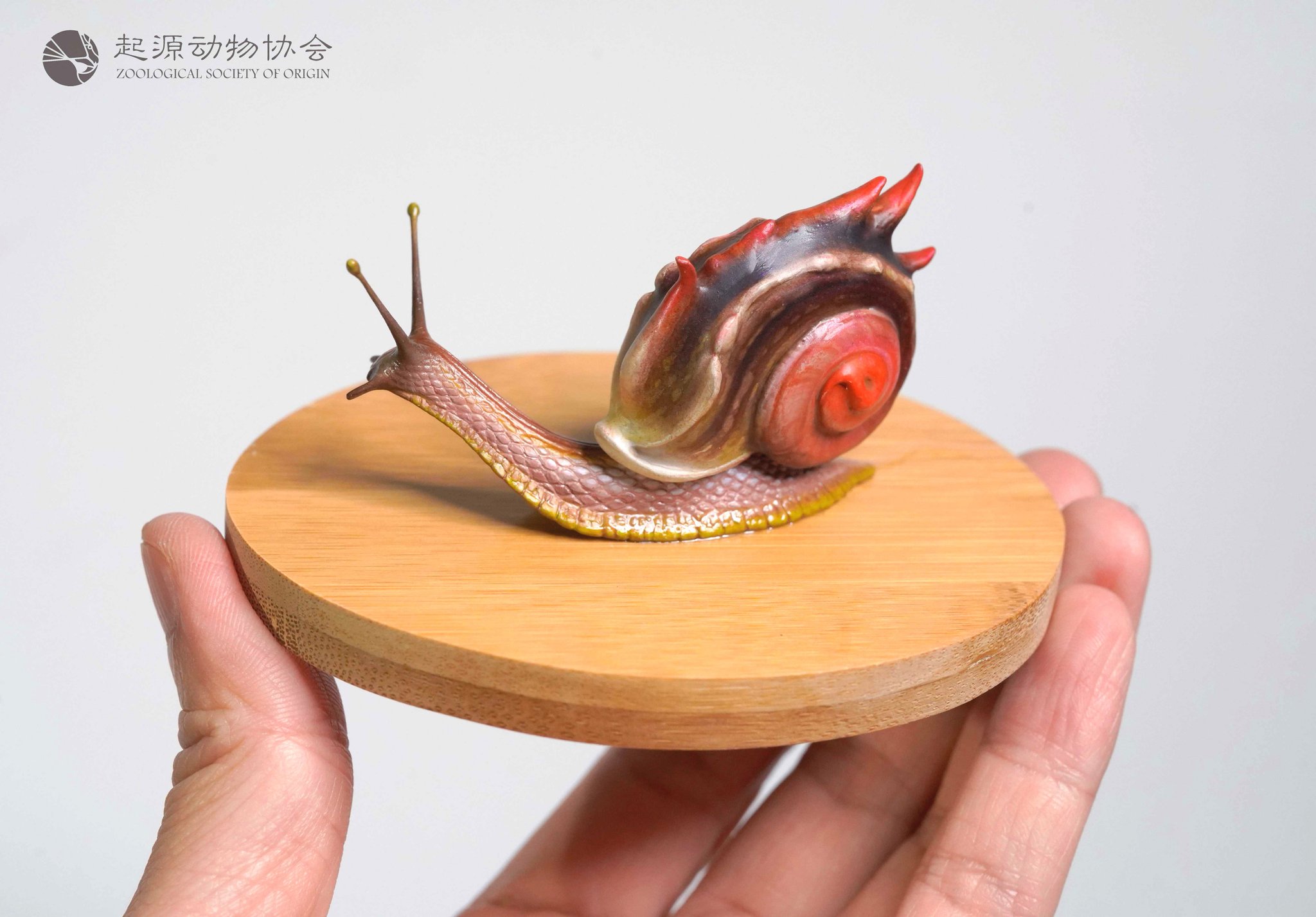 Ｌucanus cervus  judaicus 雄74㍉野外品 Lucanus cervus judaicus 雄74㍉野外品