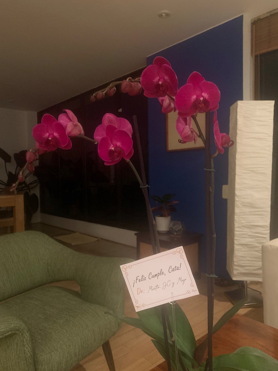 Catalina Munoz tweet media