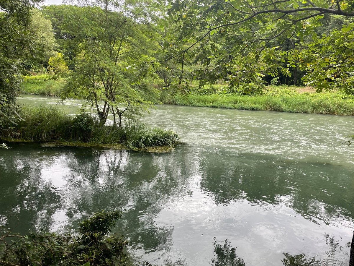 安曇野での珍しい風景。水質や温度の異なる二つの川が出会う場所。会ってすぐには打ち解けずに、しばらく並行線を辿るそう。川も人見知り
綺麗な二層の水羊羹みたい😋