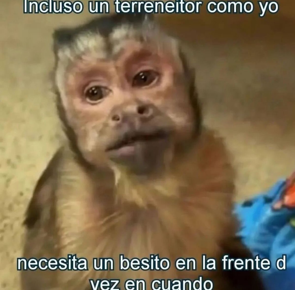 Margarito Esparza N. (@soymargarlto) on Twitter photo 