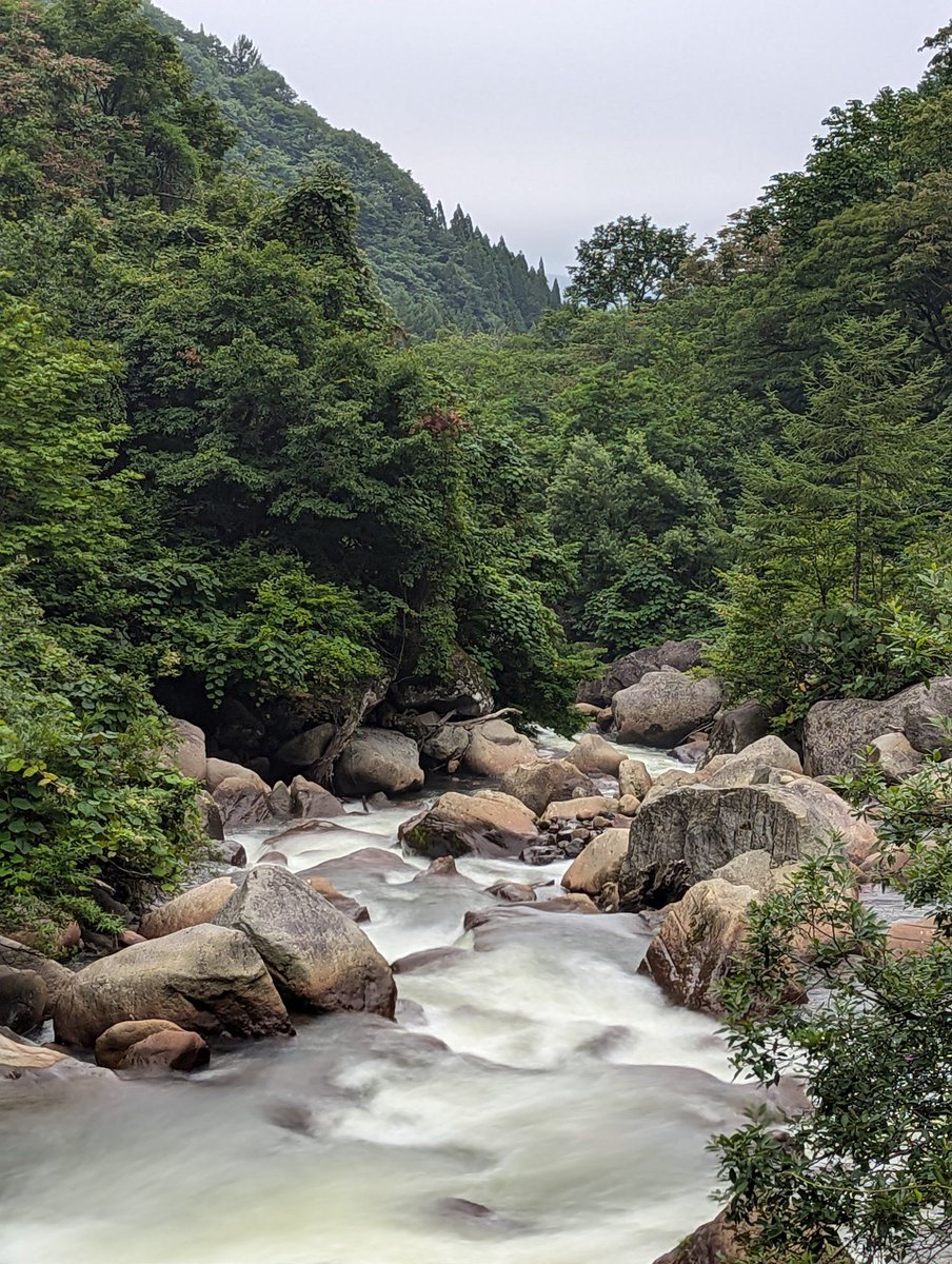 It's a beautiful weekend in Myoko. A bit cloudy with a top of 30 degrees expected in the valley.

Transfers: myoko.jp/tokyo-myoko-sh…
Myoko accomm: jmyoko.jp/stay/

#MyokoJapan #Myoko #myokokogen #myokokogenjapan #妙高高原 #greenseason #妙高  #妙高山  #hiking #waterfall