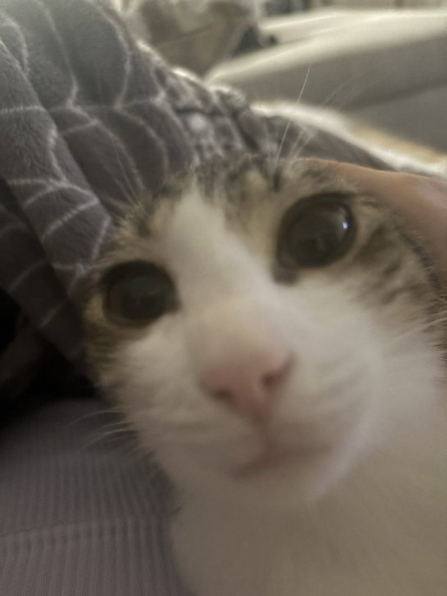 yuthtin's tweet photo. bug eyed freak https://t.co/CMCUph4hbk
