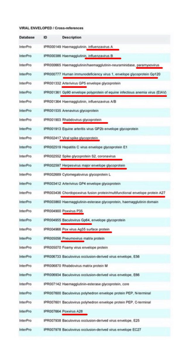 MartinaSisters's tweet photo. ¿Nadie se está dando cuenta que desde 2020 lo que se conocía como enfermedades, brotes o patologías con correctos tratamientos está COMPLETAMENTE alterado? 😔

Un dengue que cuando se medica no se cura, hepatitis necrosantes en niños, miocarditis en jóvenes, coágulos y trombos extremos, cánceres rápidos, muertes repentinas en adultos sanos, alergias que se repiten, hongos resistentes, neumonías bacterianas de la nada, enfermedades inmunomediadas, etc… y ahora Viruela de mono con alteraciones dérmicas de herpes…

¿Tanto y tan raro y confuso todo… siempre? ¿Y sólo desde 2020? ¿No es extraño?

La respuesta la tiene el origen de un virus construido en laboratorio y que nos llegó en 2020. Contiene trazas de diversos patógenos que se activan y alteran por estrés.

NECESITAN QUE NO DESCUBRAMOS EL ORIGEN DE ESE VIRUS de 2020 para que puedan seguir generándonos enfermedades “raras” hasta 2030, que ya no obedecen a tratamientos o medicamentos convencionales, eficaces o más antiguos. 

Ya no tenemos enfermedades limpias, tratables y curables, solo tenemos reinfecciones, recaídas, brotes inexplicables y un montón de hallazgos de infecciones virales, parasitarias, bacterianas y fúngicas y de todo tipo, que nos atemorizan y estresan y que nos proponen diagnosticar SÓLO con PCRS y solucionar SÓLO con vacunas. 

Y debido a lo que han provocado como situación actual, lo que ya no vamos a consentir, porque nos va la SALUD en ello, es que por SEGUNDA VEZ y sin saber lo que hacen 🤨 busquen solucionar los problemas con presiones, amedrentamientos, censuras, encierros, mascarillas, tarjetas digitales, pastillas y pinchazos. 

El Mpox es un ortopoxvirus cuya infección está estudiada, tratada, contenida y focalizada en ÁFRICA. La Viruela está erradicada gracias a eficaces y honestas vacunas, que AHORA ya no funcionarán con ningún Ortopoxvirus porque ya no tenemos infecciones ni naturales ni limpias 😔. Solo quedan muestras en laboratorios que pueden ser manipuladas y usadas contra la población, debido a la situación actual de inestabilidad e inseguridad biológica y a nivel mundial.

Lo que ahora intentan hacer ver que es la Viruela del mono en otros países de otros continentes son alteraciones dérmicas en forma de herpes y otras erupciones cutáneas, producidas por la interacción de las proteínas spike, nucleocápside, membrana y envoltura de un virus artificial preparado para activar reservorios ante estrés y otros factores estresores como medicamentos y vacunas para producir mucho tipo de enfermedades. 

Lo podéis creer o no, no está en mi mano lo que entendáis y decidáis hacer después de leer mis palabras. Yo sólo estoy aquí desde el principio (desde febrero de 2020 que se dice pronto) intentando advertiros de la composición de un virus artificial y de su ENGAÑO. 

Yo sé lo que debo hacer en mi vida y cómo ayudar y proteger a mis seres queridos, (los que deseen ser ayudados porque no se puede forzar a nadie y cada uno tenemos nuestro camino), y no tengo ninguna varita mágica para saber cómo será el futuro de nadie. Lo que sí sé es que en mi futuro no concibo ya el engaño, la hipocresía, la mentira, la soberbia, el engaño ni la gente que se quiera lucrar o beneficiar a costa del sufrimiento de otros. Eso YA NO lo permito. 

Nos esperan tiempos de valentía. Podemos salir de esto uniéndonos para que no vuelvan a intentar perjudicarnos y las generaciones futuras aprendan, a través de nuestra respuesta, lo que significa “CUIDAR LA SALUD”, pero en vuestra mano está la respuesta que queráis adoptar para que no perjudiquen más vuestras vidas. Sea lo que sea, hacedlo con el corazón y todo os saldrá bien.

En las imágenes os vuelvo a poner el listado de patógenos que desean ir activando y que descubrió Nicola. Nicola Bidoli les desmontó su mentira. Normal su rabia…😔

Repito, quiero que entendáis algo IMPORTANTE, de sobra sé que es cierto: una persona SIN ESTRÉS no los activará. 

Este “juego” se gana… no jugando. 

Gracias por leerlo. ✨♥️