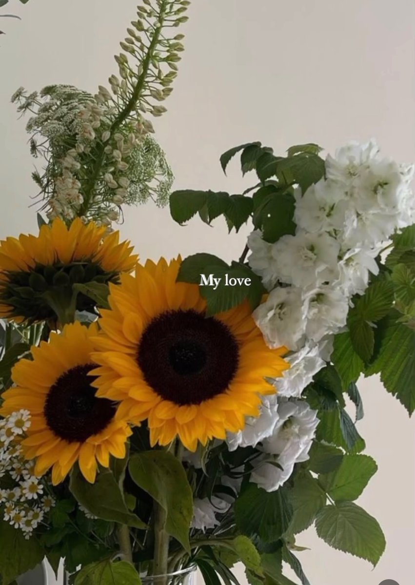 sunflowerchives's tweet photo. for you my love!💛 https://t.co/A1a76UfP4g