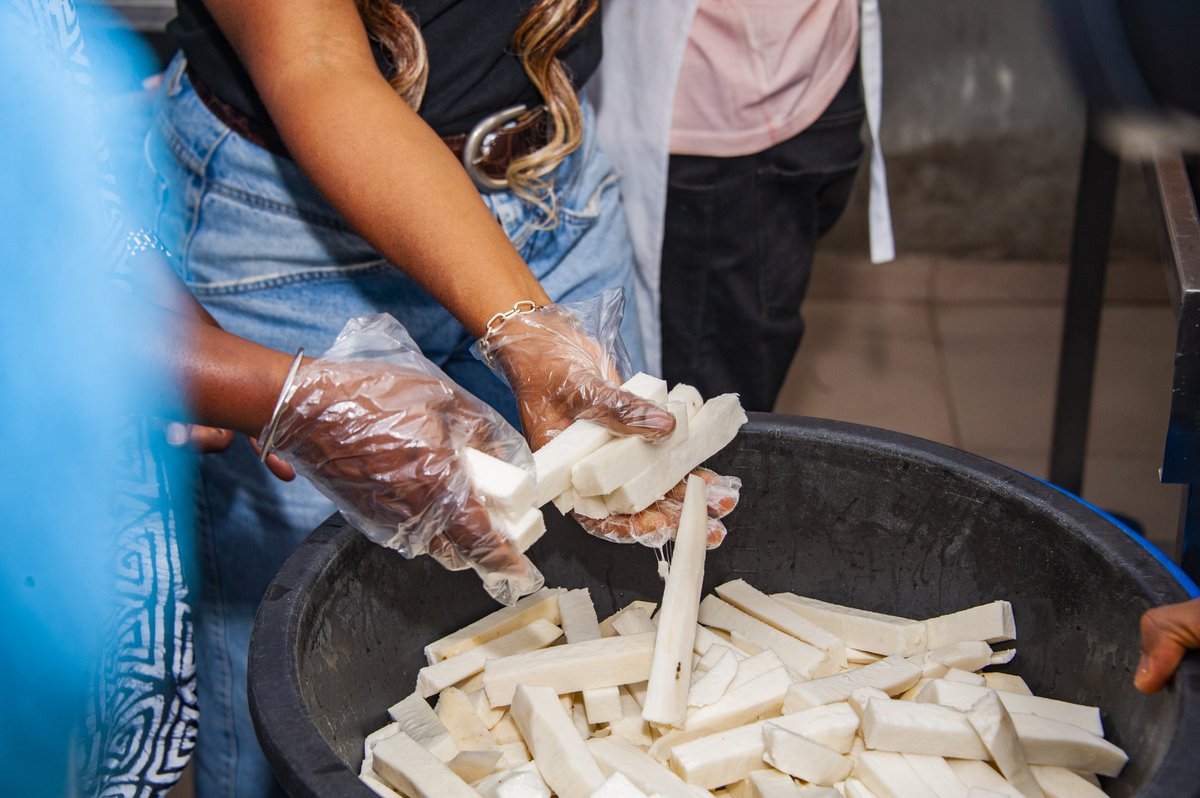 Abi_Olusanya's tweet photo. ...did you know that Nigeria produces ⅔ of the world's yam needs? With such a commodity of comparative advantage, we have done little to harness the global potentials. This is why my gratitude to the @lekymills team is unabashed. Made up of a team of young, dynamic Nigerians, https://t.co/QEWqZ7uIz7