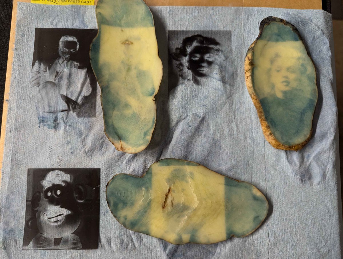 The Thought Emporium 🌻 tweet media