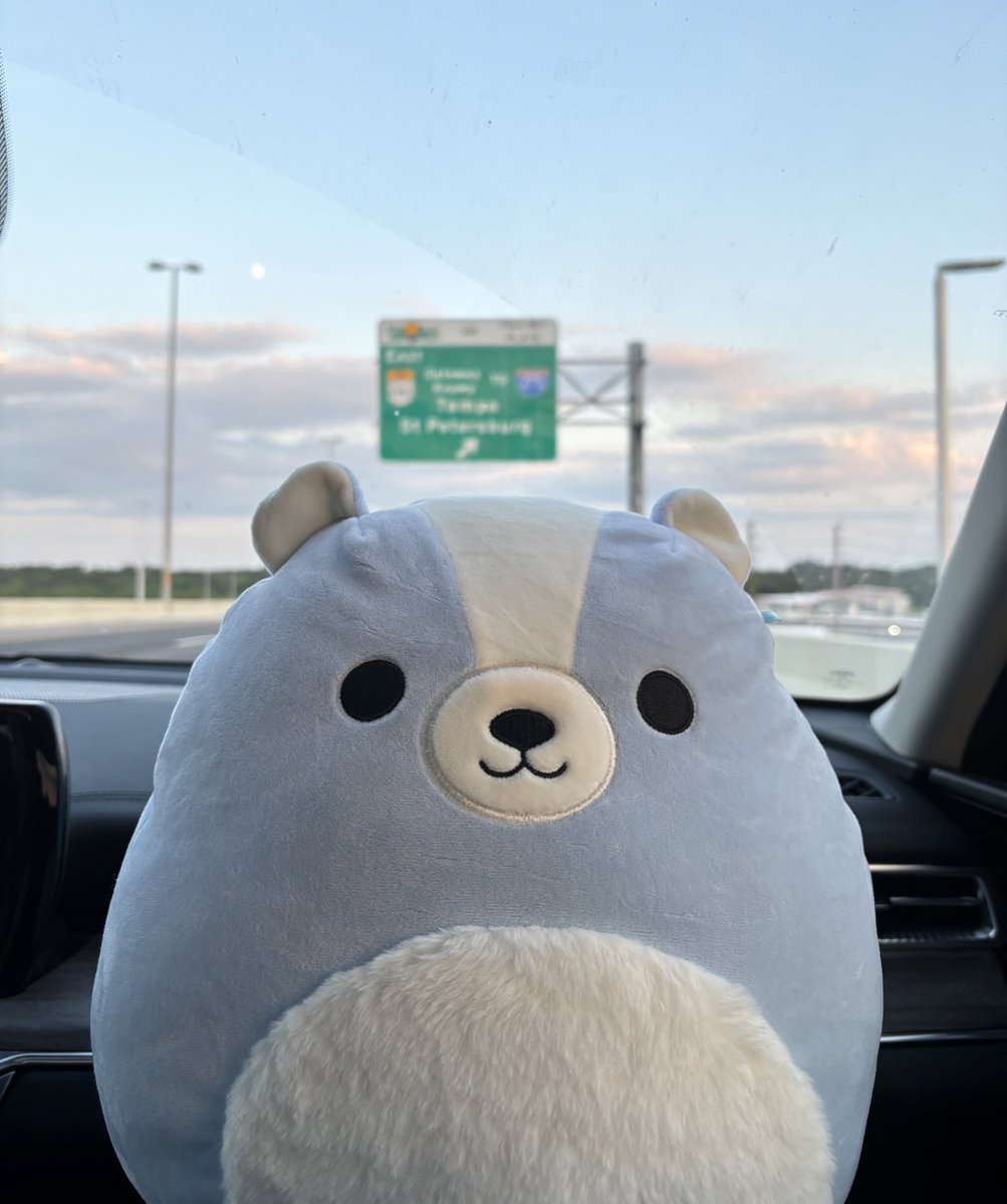 ilycassi's tweet image. adopted a son today 🤝🏼