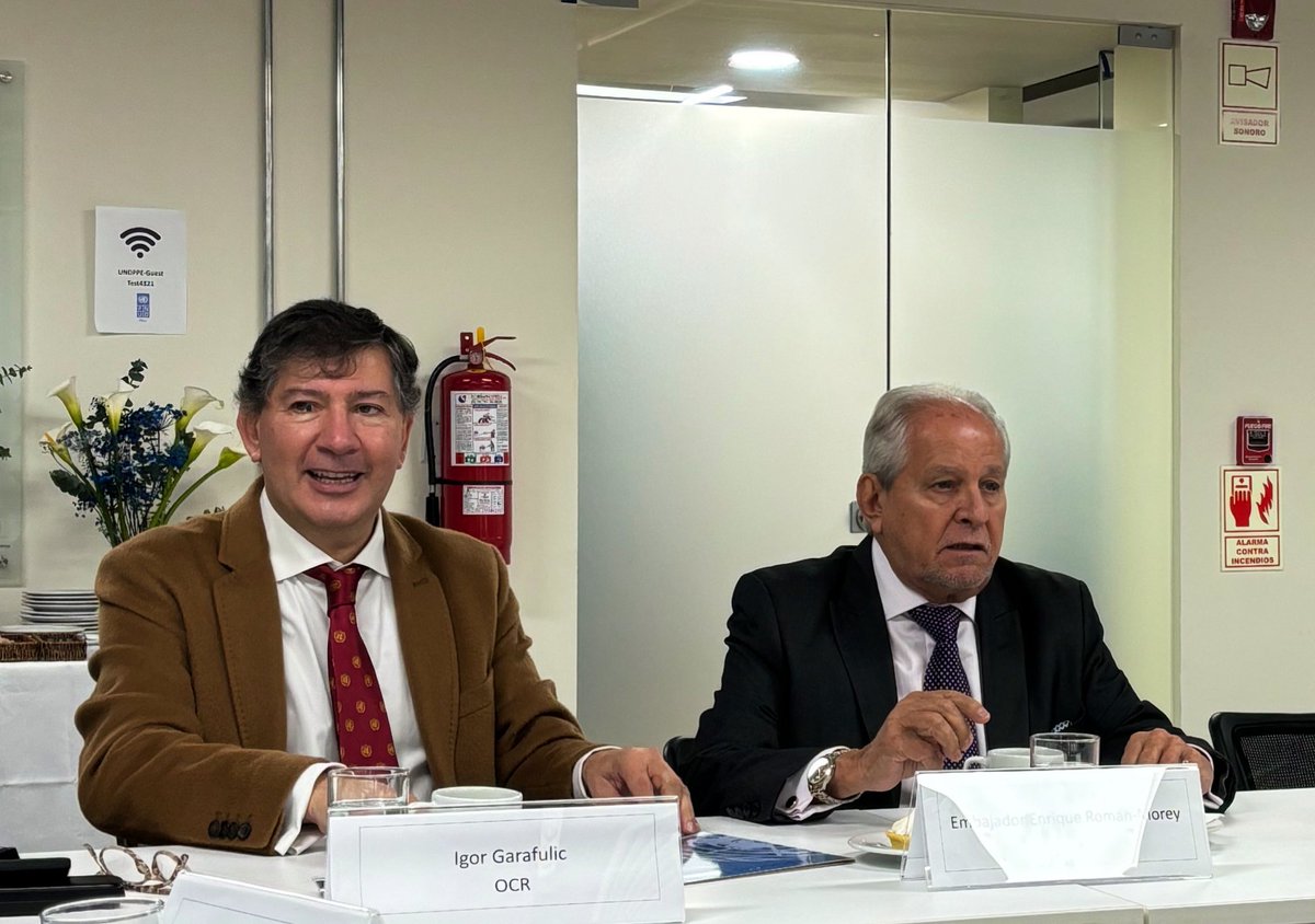 ONUPeru's tweet photo. #JuventudesPeruanas que apuestan por el futuro

Coordinador residente @GarafulicIgor, representantes de entidades ONU🇺🇳 y embajador Enrique Román @PeruEnLaONU dialogaron sobre apoyo a prioridades de desarrollo 🇵🇪, preparativos para #CumbredelFuturo y participación de la juventud. https://t.co/zaZcKv2U2i