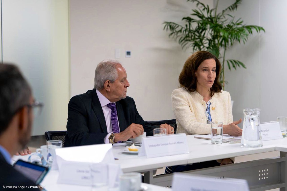 ONUPeru's tweet photo. #JuventudesPeruanas que apuestan por el futuro

Coordinador residente @GarafulicIgor, representantes de entidades ONU🇺🇳 y embajador Enrique Román @PeruEnLaONU dialogaron sobre apoyo a prioridades de desarrollo 🇵🇪, preparativos para #CumbredelFuturo y participación de la juventud. https://t.co/zaZcKv2U2i