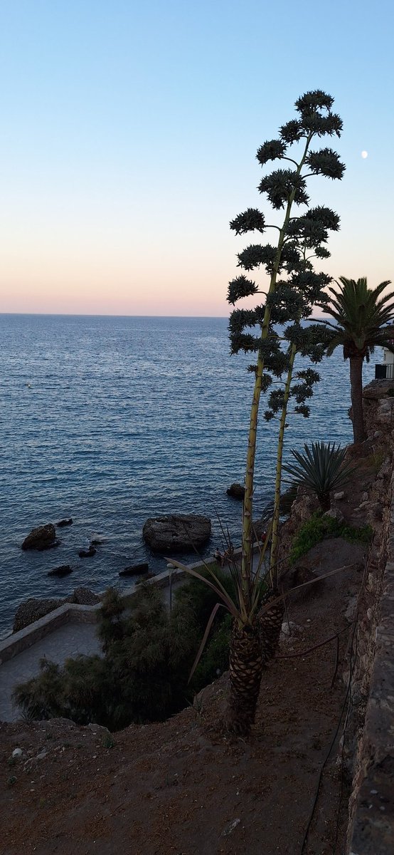 manolcan's tweet photo. Playa Calahonda #Atardecer #Nerja #Fotopostales https://t.co/S0HpI2NWQT