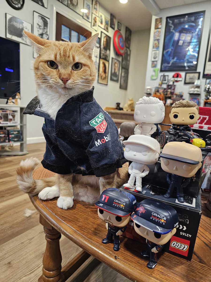 coagie's tweet photo. Getting wild on a Friday night 😆 🤣 Summer break gets so boring #f1 #RedBull #redbullracing #MaxVerstappen #sergioperez #cat #cats #CatsofTwittter #funko https://t.co/0Rts2ARZKG