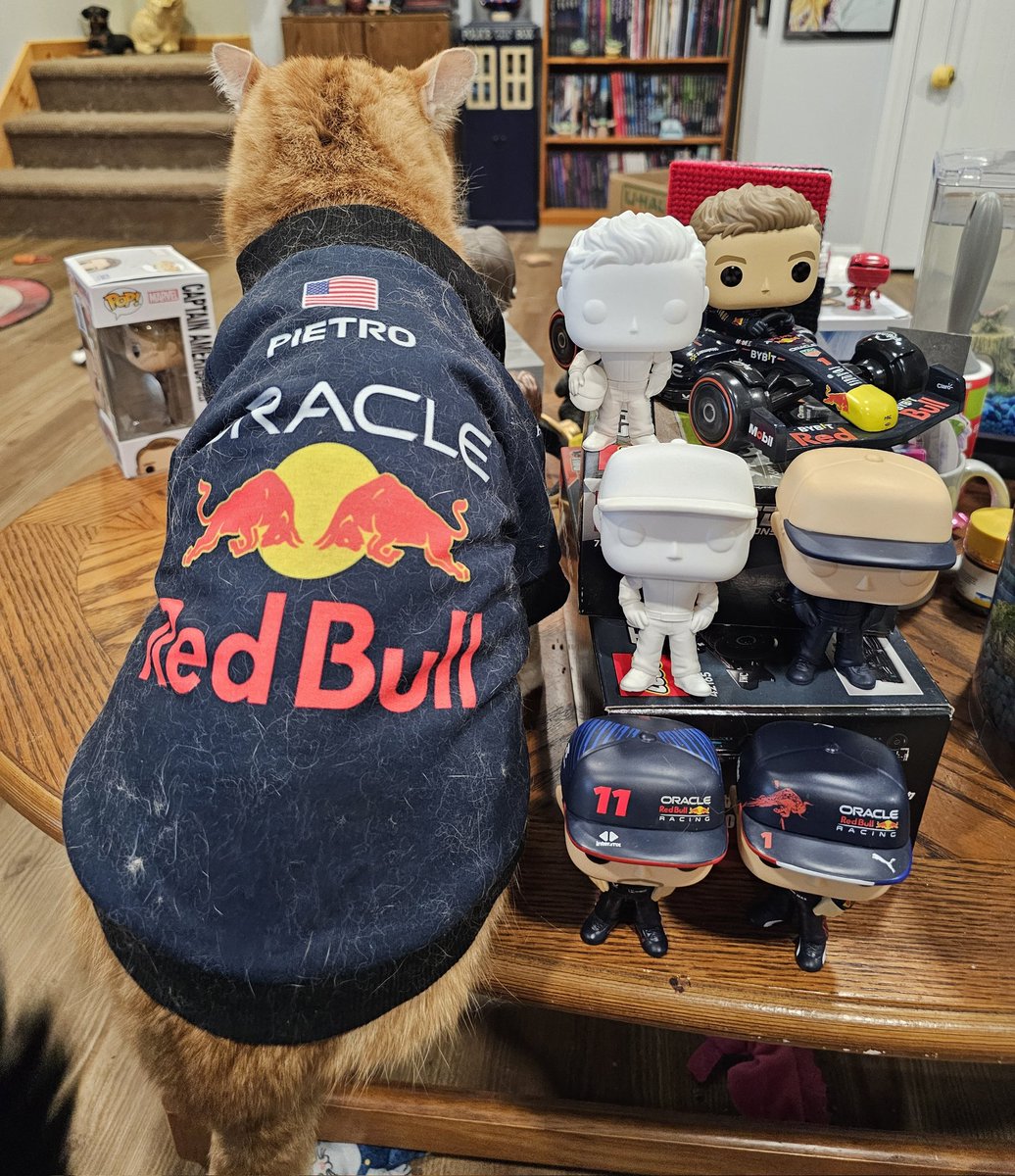 coagie's tweet photo. Getting wild on a Friday night 😆 🤣 Summer break gets so boring #f1 #RedBull #redbullracing #MaxVerstappen #sergioperez #cat #cats #CatsofTwittter #funko https://t.co/0Rts2ARZKG