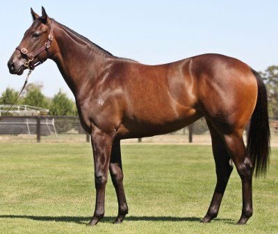 moodyracingpgm's tweet image. 🥰