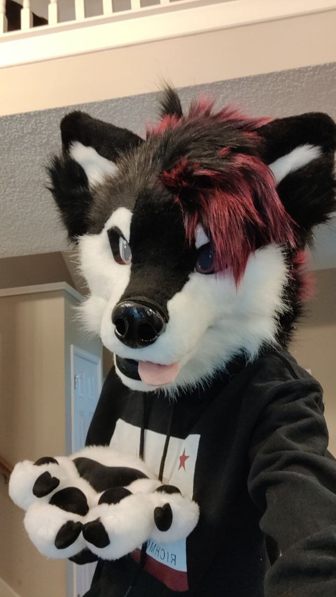 FIRST FURSUIT FRIDAY!
(I almost forgot 🙃 )
#FursuitFriday
