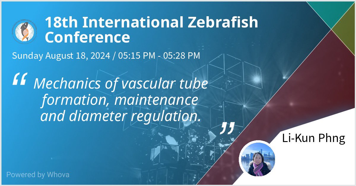 Li-Kun Phng tweet media