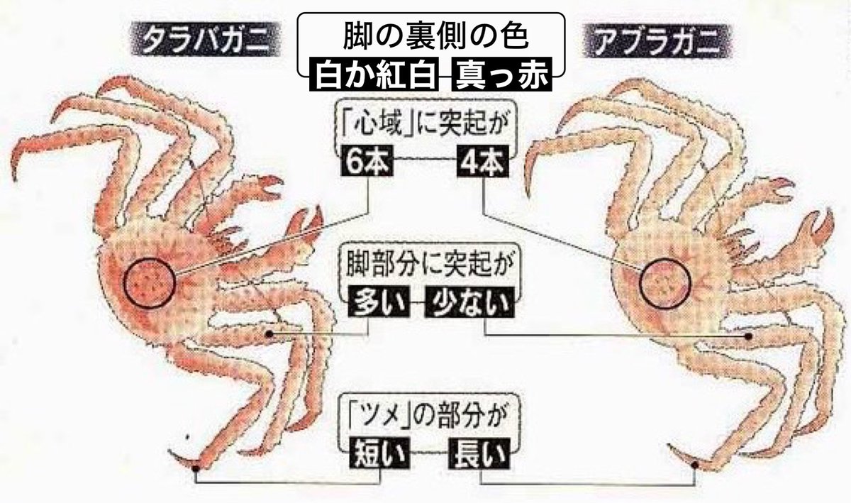 タラバガニ と アブラガニ の 違い