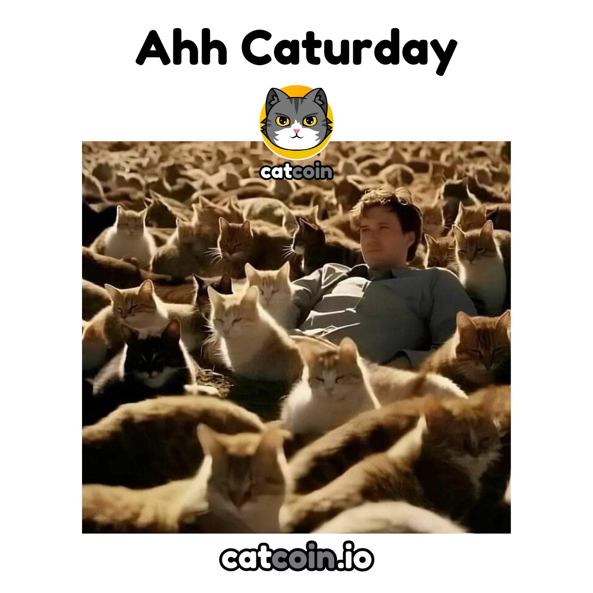 Official Catcoin (@officialcatcoin) on Twitter photo $CATS ❤️ - $15 #USDT
• Follow <a href="/officialcatcoin/">Official Catcoin</a>
• Retweet
• And comment #Catcoin #Caturday #giveaway
24 hours $CATS ❤️ - $15 #USDT
• Follow <a href="/officialcatcoin/">Official Catcoin</a>
• Retweet
• And comment #Catcoin #Caturday #giveaway
24 hours