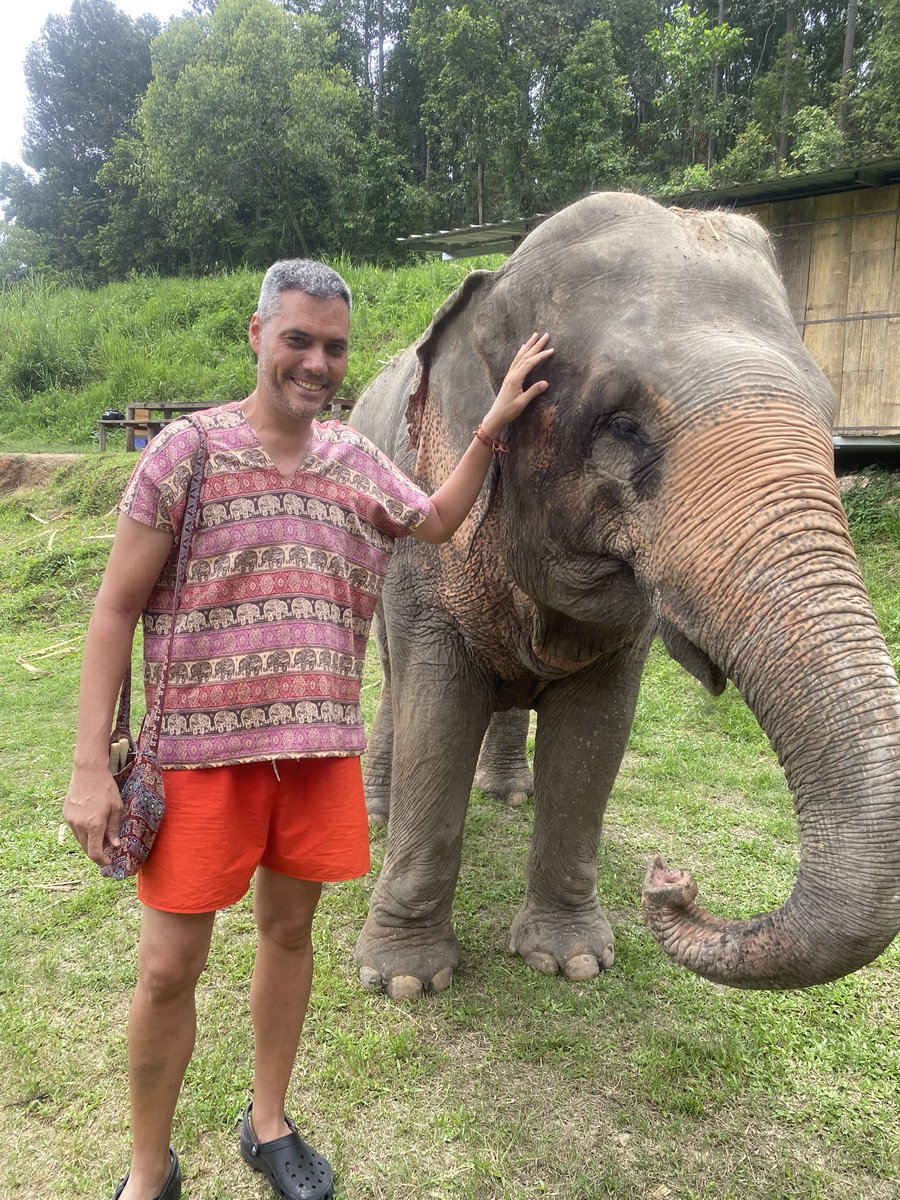 htpaco9's tweet photo. Reserva de elefantes. Chiang Mai. Thailandia 🇹🇭. https://t.co/1GQSwbsRLK