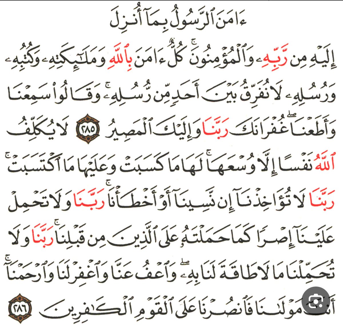 SamahAlKhadouri's tweet photo. https://t.co/upTCAkbIQs