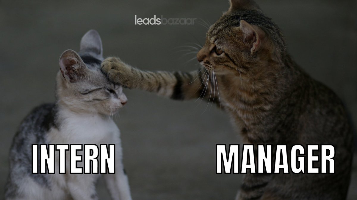 😁 😁 - (leadsbazaarllc.com) leads bazaar llc
#Business
#Entrepreneurship
#SmallBusiness
#Startup
#BusinessGrowth
#EntrepreneurLife
#BusinessStrategy