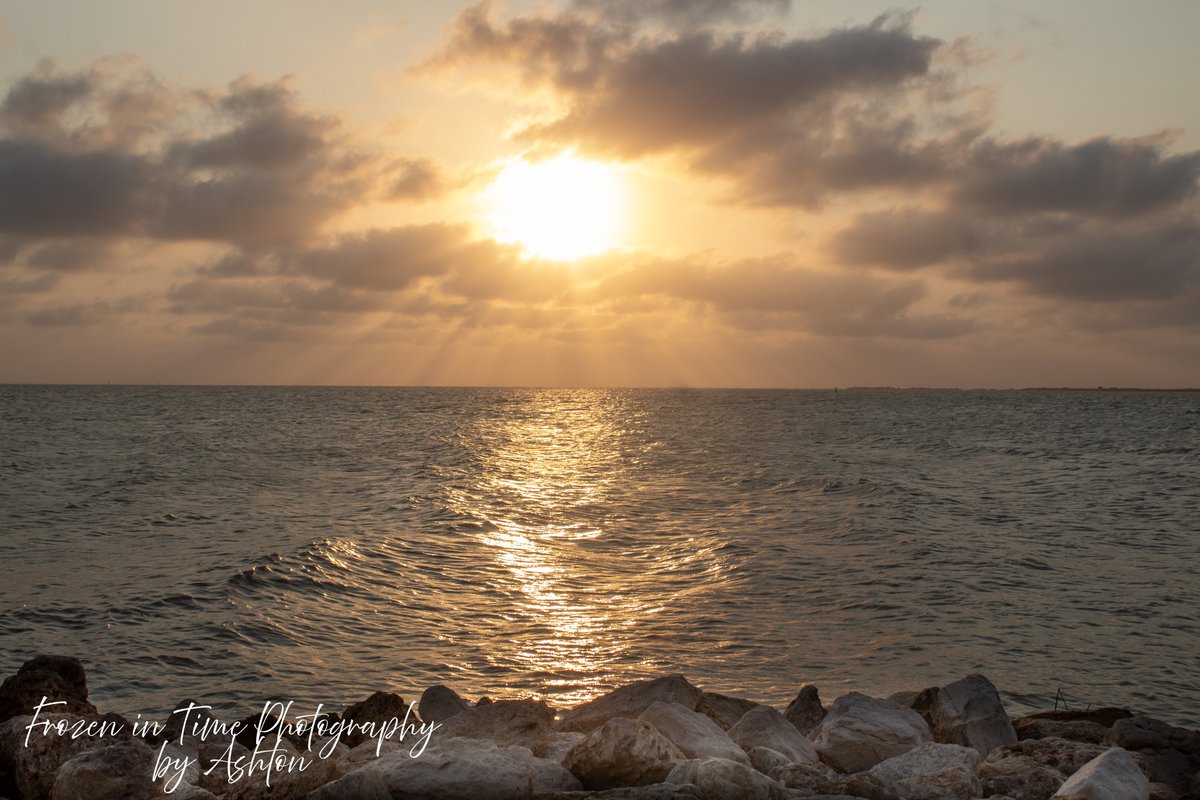 FITphotography2's tweet photo. Sunset at Swan Point in Seadrift, TX
#frozenintimephotographyak #photography #photographer #texasphotographer #sunsetonthebay #sunsetphotography #sunsets #texassunsets #natogeo #nationalgeographic #texashighwaymagazine #sunset #backgroundphoto https://t.co/lKlEj8uBuy