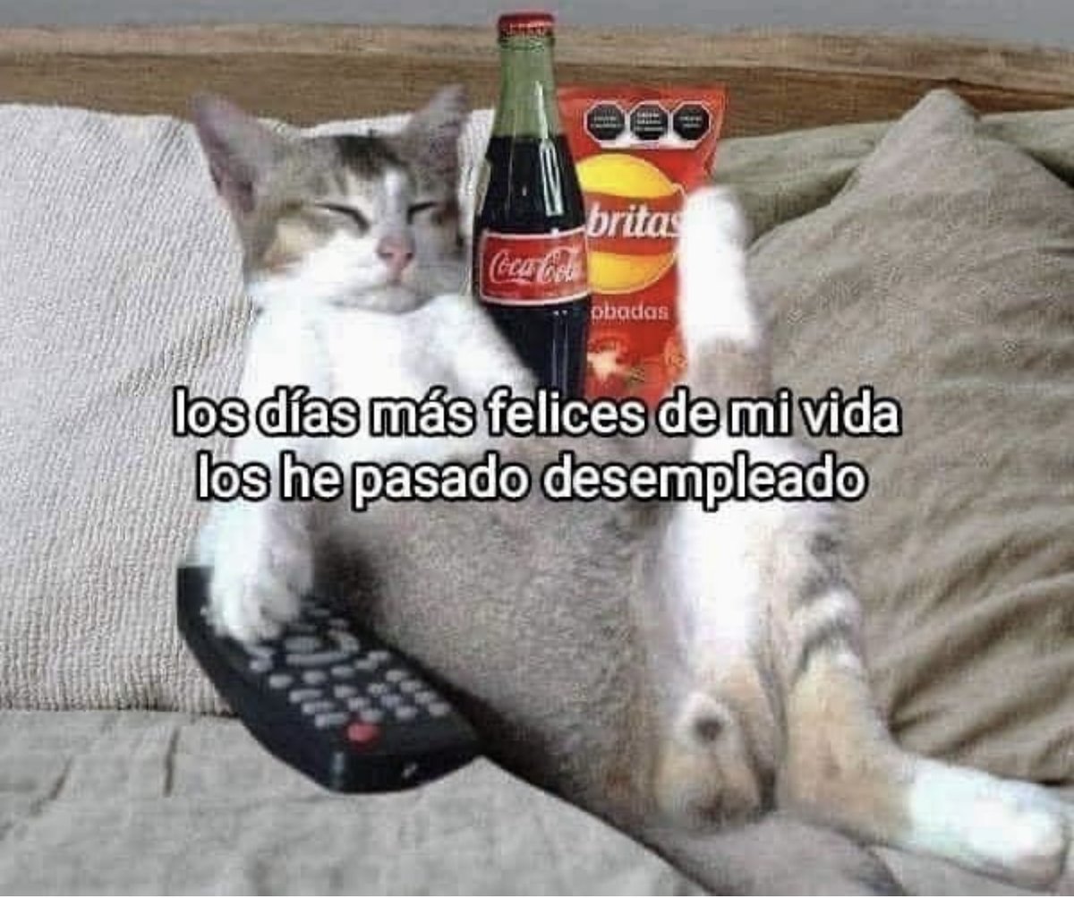 Guarromantico_'s tweet photo. Los mejores. https://t.co/kfVUqLdw2P