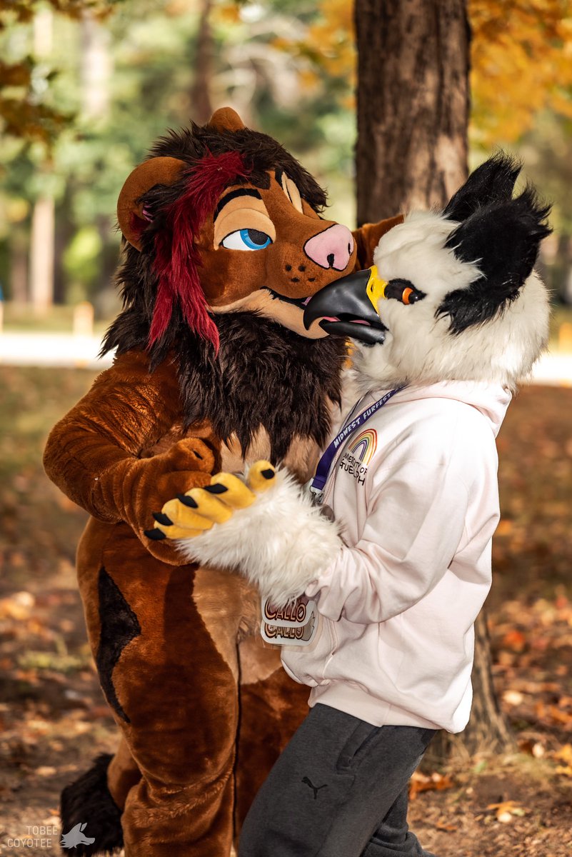 Mmmmmmm chimken nuggets

#FursuitFriday 
📷: <a href="/tobeecoyotee/">Tobee Coyotee</a> 
🍗: <a href="/Callobirb/">Callo</a>