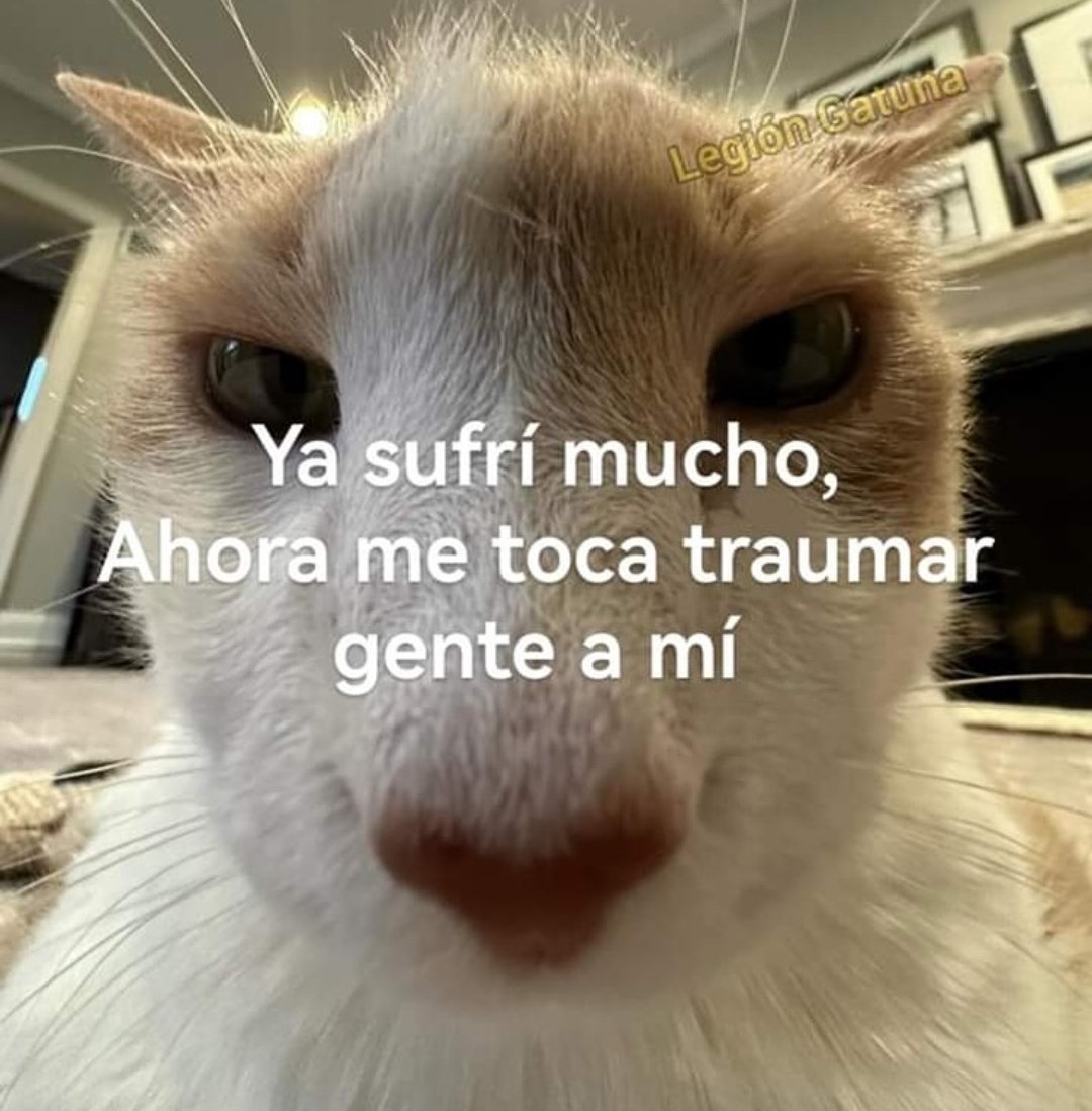 En Júpiter (@en_jupiter_) on Twitter photo 