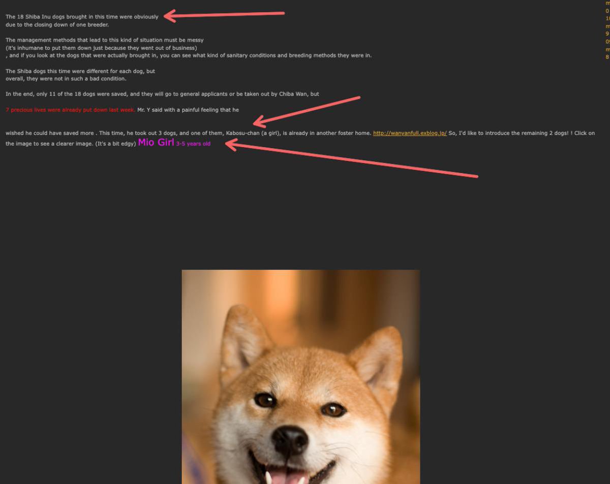 BalkansBurner's tweet photo. @HopiumPapi I’m here to let you eat Erik. 

Did you know that Kabosu had a sister that was separated at adoption?

$MIO 

Check out this narrative and tell me your not bullish 
@MioDoge_eth https://t.co/jQJsUO639g