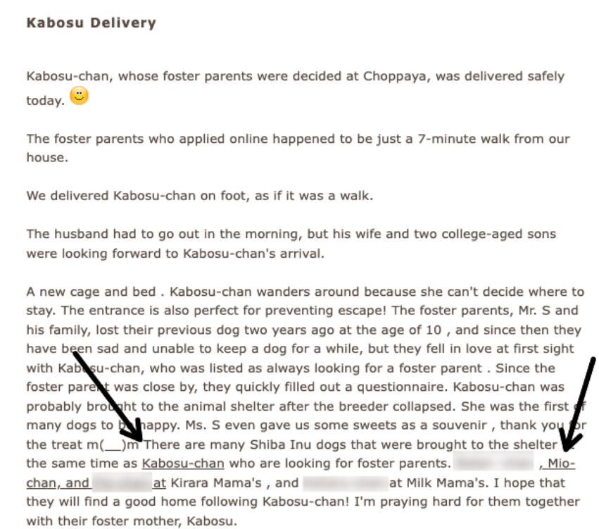 BalkansBurner's tweet photo. @HopiumPapi I’m here to let you eat Erik. 

Did you know that Kabosu had a sister that was separated at adoption?

$MIO 

Check out this narrative and tell me your not bullish 
@MioDoge_eth https://t.co/jQJsUO639g