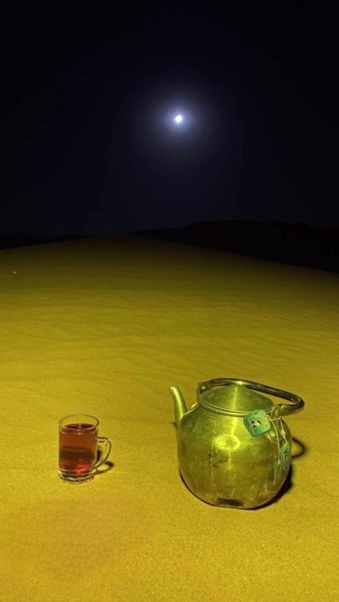 لا خيّم الليل عمّرنا على الشاهي 
كنّا ملوكٍ تسولف في مصالحها .