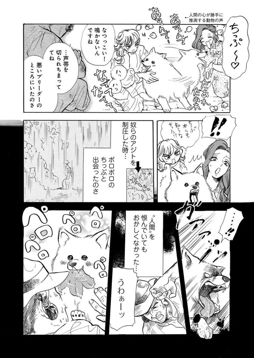 姫ちゃんついに年貢の納め時⁉️
そして犬愛しすぎおじさんとは一体…

https://t.co/ZkgEjoexbS

天地救世❤️神話ガール

最新話公開中でーす!
読んでね🐱❤️ 