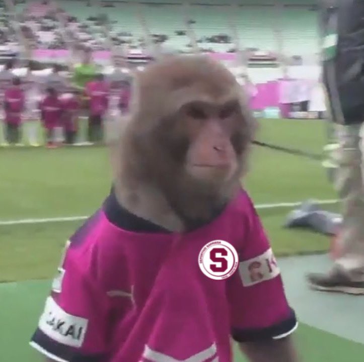 yo si me diera viruela del mono