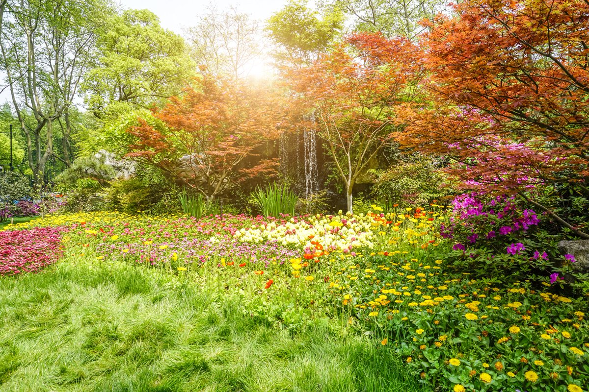 yuliagreeny's tweet photo. เอาภาพธรรมชาติมาฝากค่ะ ขอให้วันนี้เป็นวันที่ราบรื่นของทุกคนนะคะ 🌳🌺 https://t.co/g4ompDvSHX