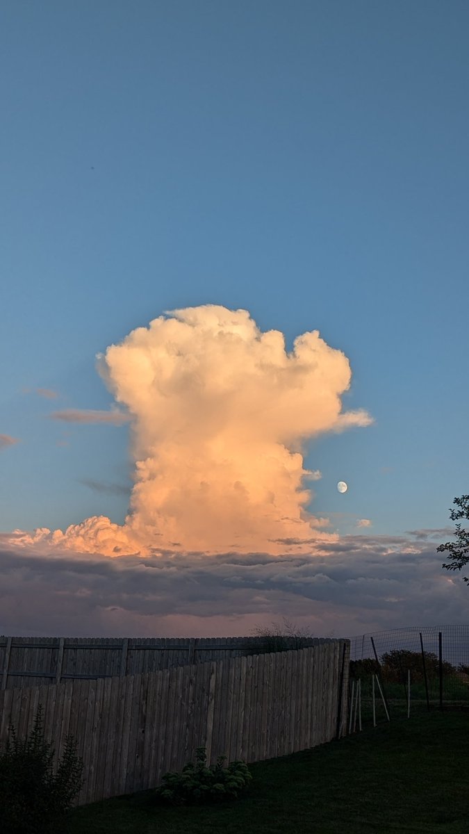 Dog's head with the moon ball in front of it.  Cedar Rapids IA <a href="/KCRG_FirstAlert/">KCRG-TV9 First Alert Weather</a> <a href="/GHeydWx/">Garrett Heyd Wx ☈</a> <a href="/KopelmanWX/">Rebecca Kopelman</a> <a href="/KGAN_Weather/">Iowa's News Now WeatherFIRST</a> <a href="/WXSchnack/">Mark Schnackenberg</a> <a href="/KWWLStormTrack7/">KWWL Storm Track 7</a> <a href="/IAStormChasing/">IowaWeather.com</a> <a href="/NWSQuadCities/">NWS Quad Cities</a>  <a href="/KyleKielWX/">Kyle Kiel</a>  <a href="/eileenloanWX/">Eileen Loan WX</a> <a href="/CoreyT_WX/">Corey Thompson</a> <a href="/NStewWX/">Nick Stewart</a> <a href="/ICHawkeye/">ICHawkeye ✈️</a>