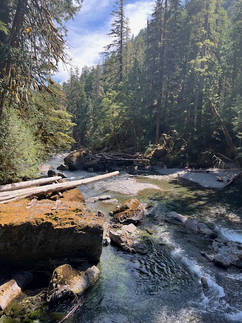 Ashley Humphries (@ashleyhmphrs) on Twitter photo I had the best two weeks in Seattle at <a href="/neurohackademy/">Neurohackademy</a>! I learned a lot about the intersection of neuroscience and data science and explored the great outdoors. s/o to my hackathon team, instructors, and new friends who made this experience so valuable!💻🧠✨ I had the best two weeks in Seattle at <a href="/neurohackademy/">Neurohackademy</a>! I learned a lot about the intersection of neuroscience and data science and explored the great outdoors. s/o to my hackathon team, instructors, and new friends who made this experience so valuable!💻🧠✨
