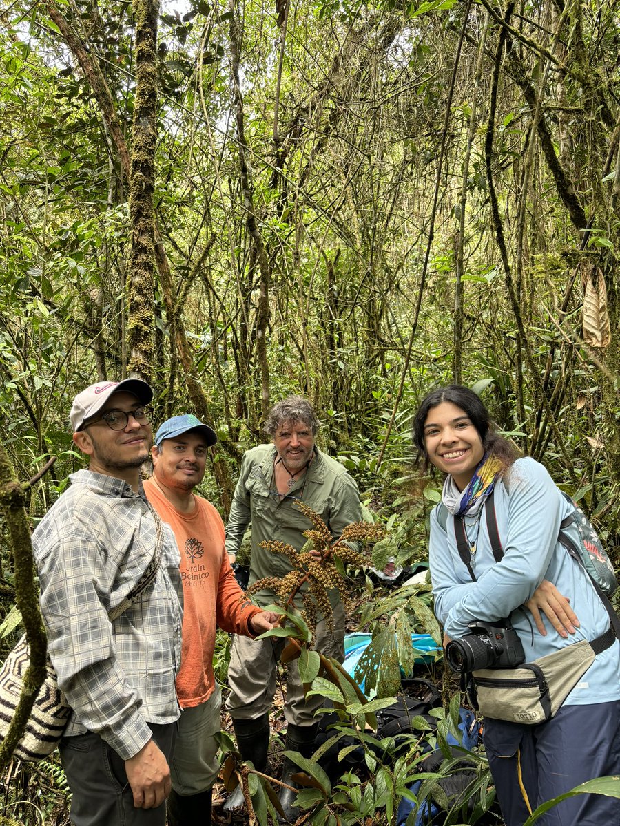 Laura Clavijo tweet media