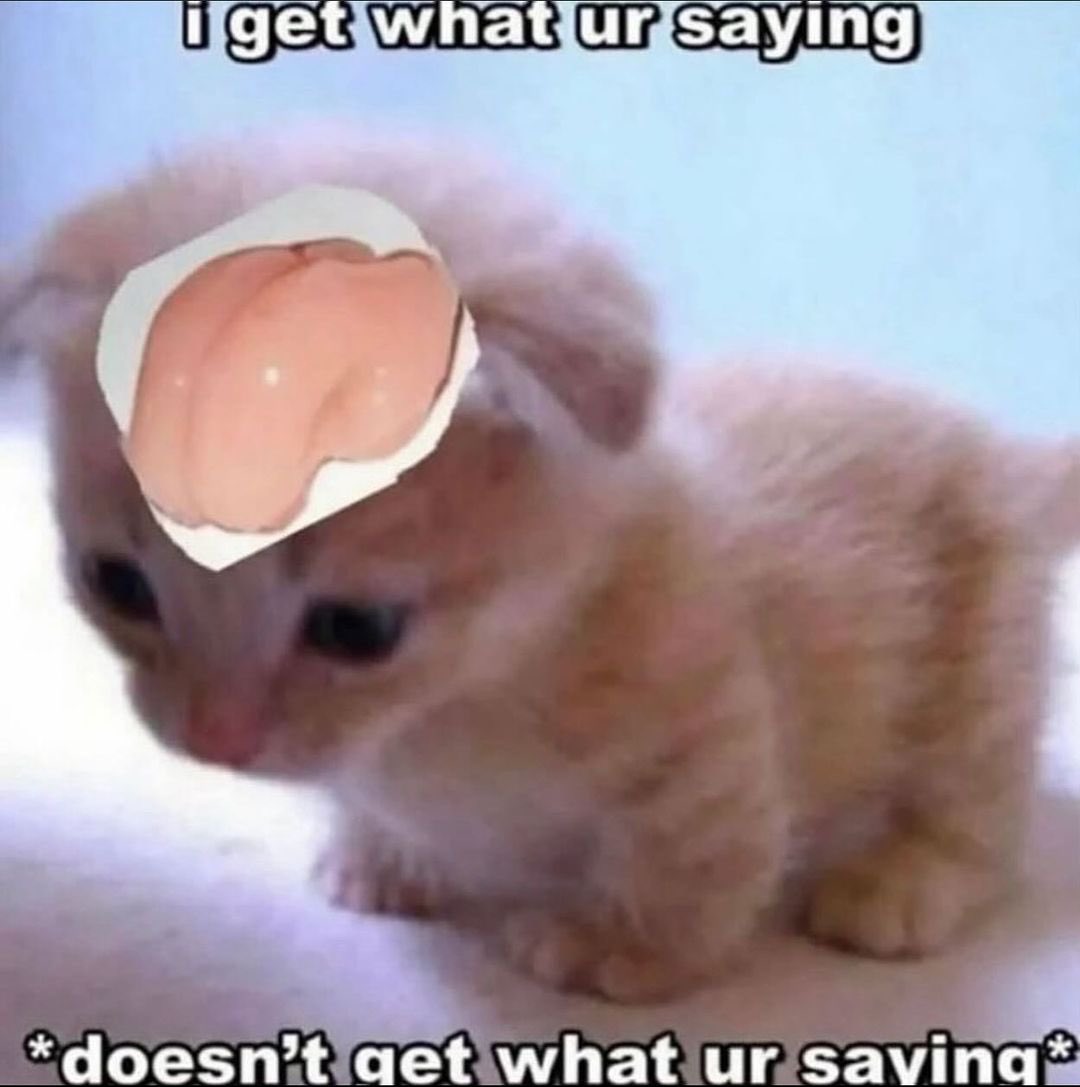 MathOrdakowski's tweet image. ainda não sei o que é MTG but at this point i'm too afraid to ask