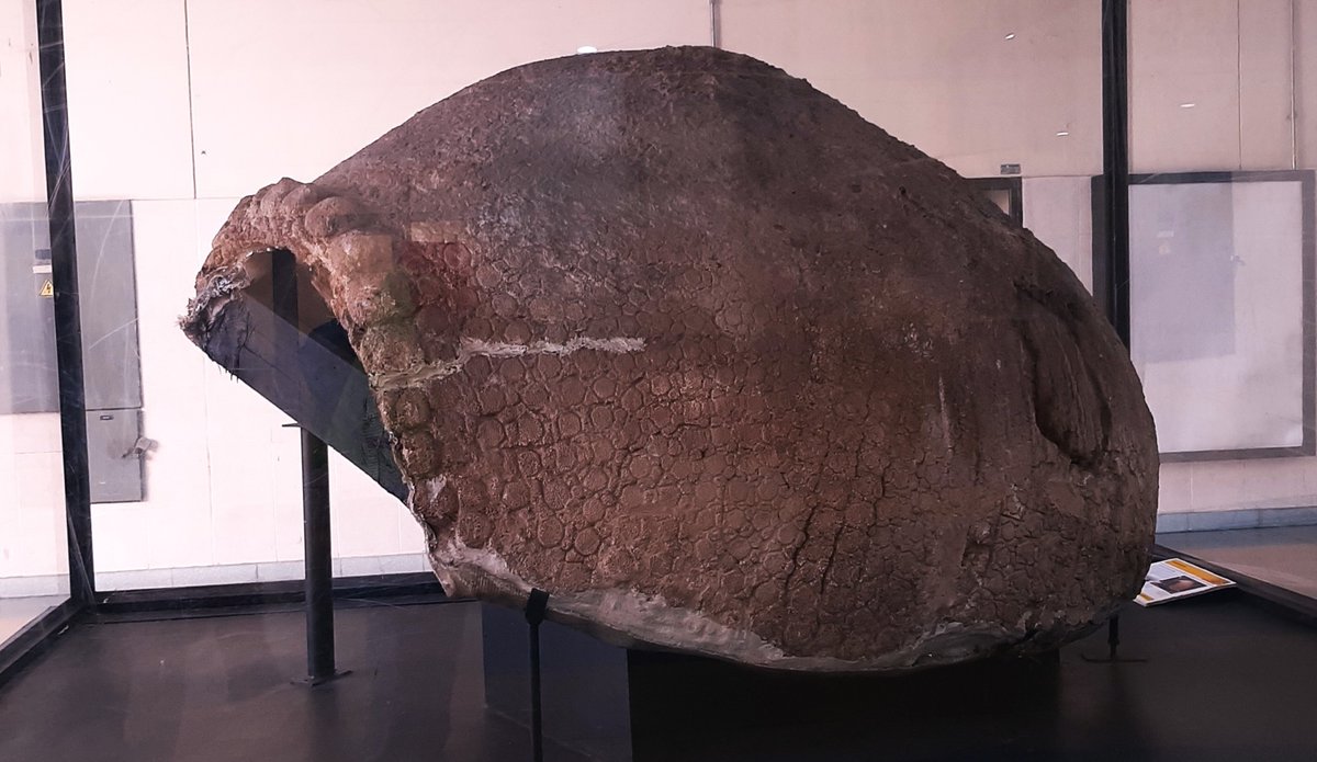 Kenyon Roberts tweet media