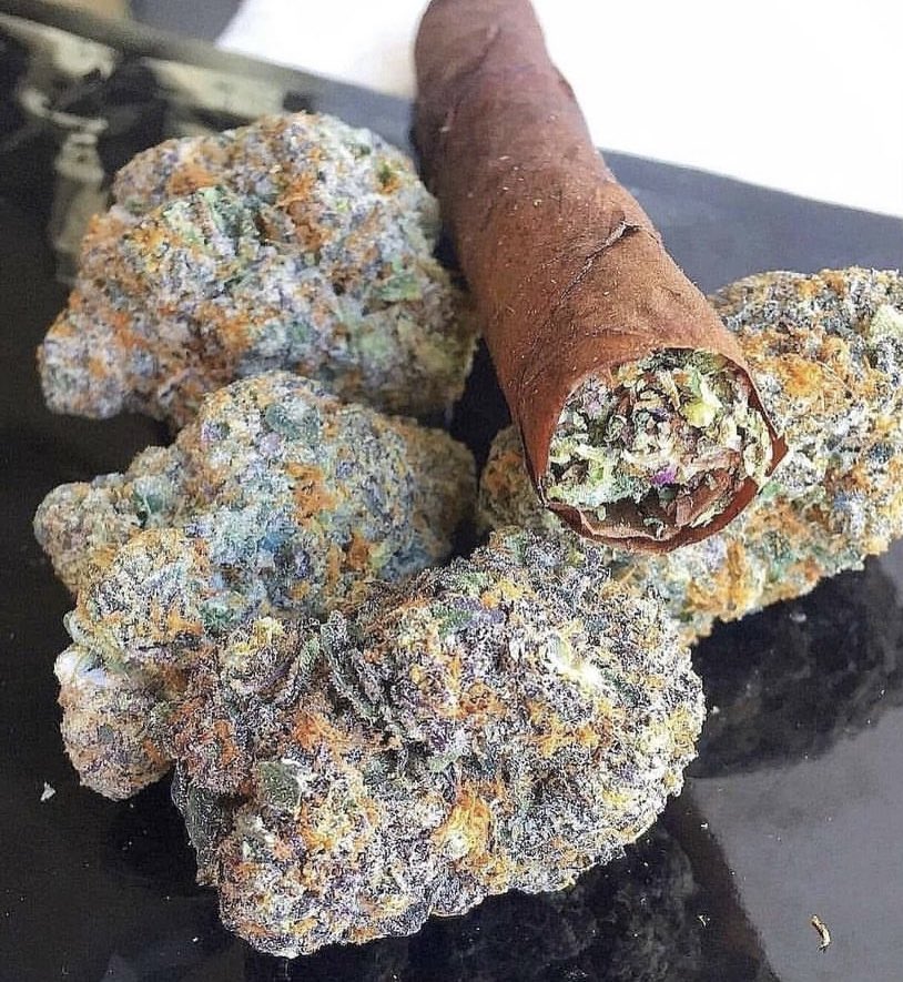 _StonersRUs_'s tweet photo. Roll one up and get high 💨 https://t.co/RhRhUVlsry