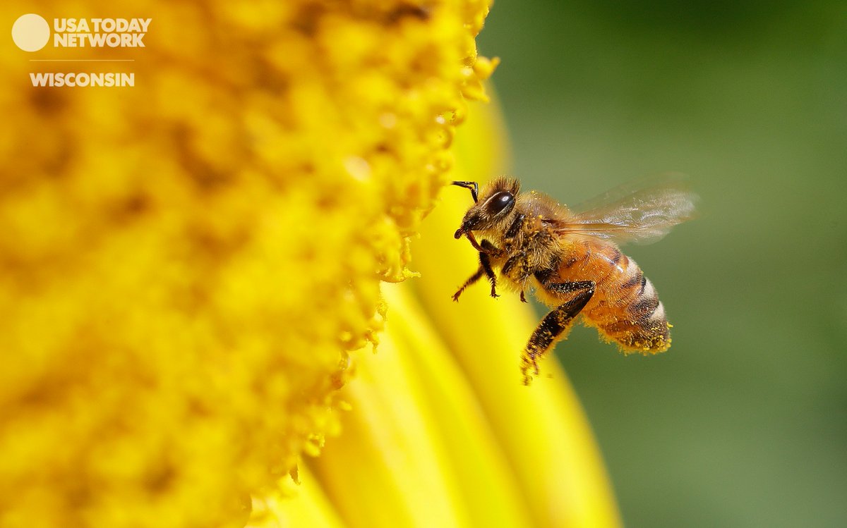 Sarah Kloepping tweet media