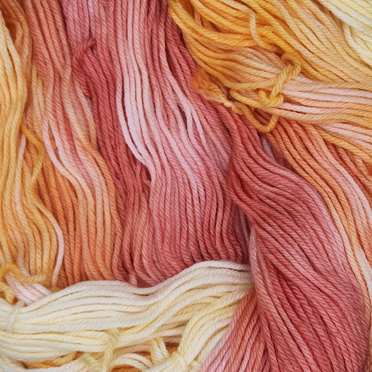 Wild Poppy Yarns tweet media