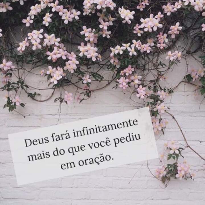 #CoisasDeFabi🌻 #gratidão💕 #vegan🌲💕 #artedeamar💓🙇 #simplesassim🌹 #bebê🐩 #Jesus #amor #vida #livre #fé #crer #paz #luz #bíblia #moda👗👜 #despojada #casual #moderna #classica #evangélica #chic #beach #bohemian #boho #gypsy #blog #vintage 2024