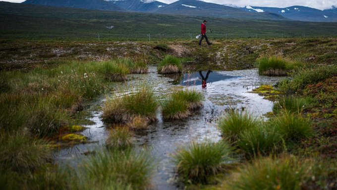 ECOWARRIORSS's tweet photo. Major climate tipping points are tipping now 
Earth is heating up to levels not expected for decades that has even shocked hardened scientists https://t.co/jhFVToQclu