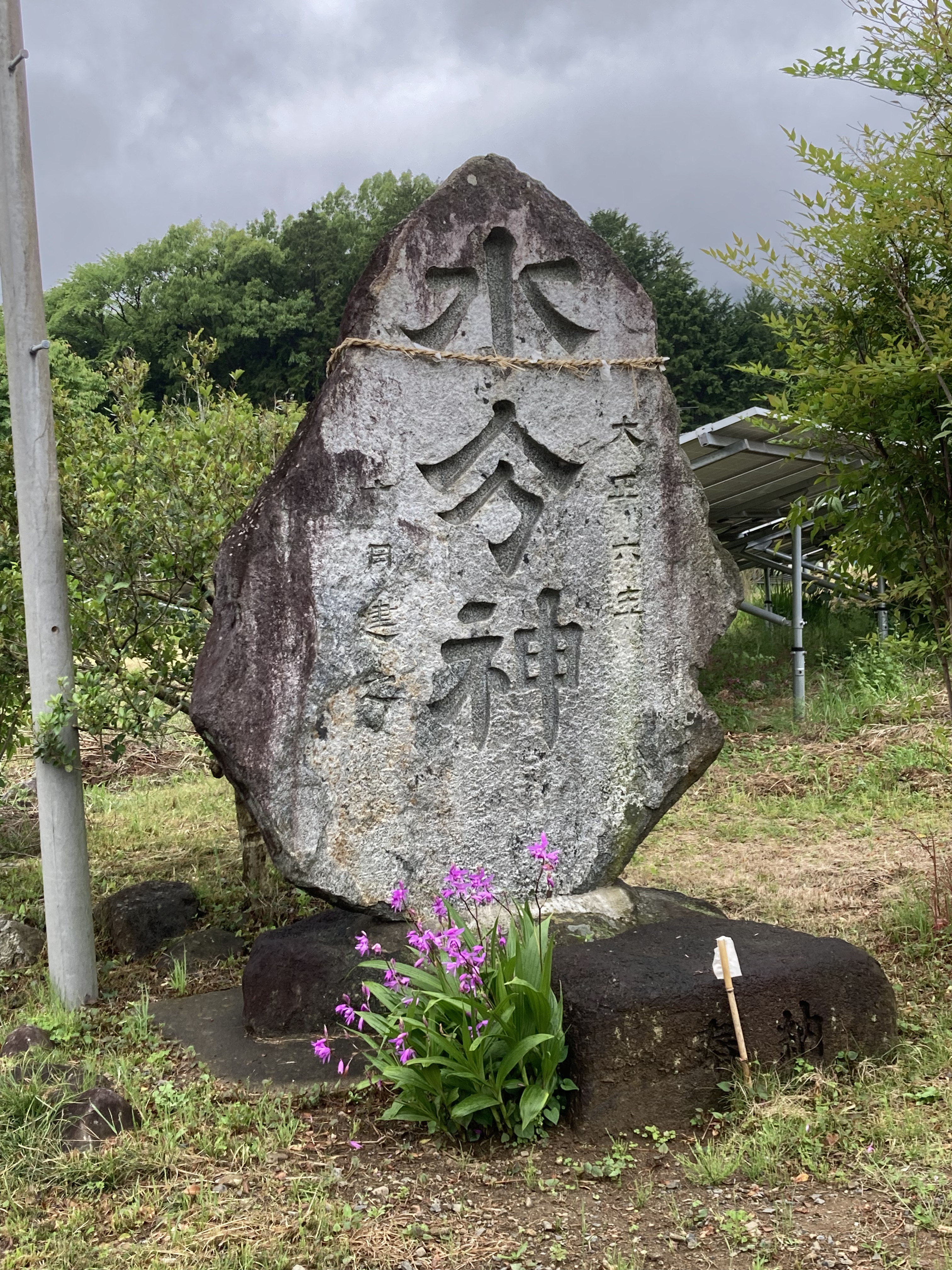 これなんかすっぎょし！珍しいルチルたん！何コレ？チン◯景 これなんかすっぎょし！珍しいルチルたん！何コレ？チン◯景