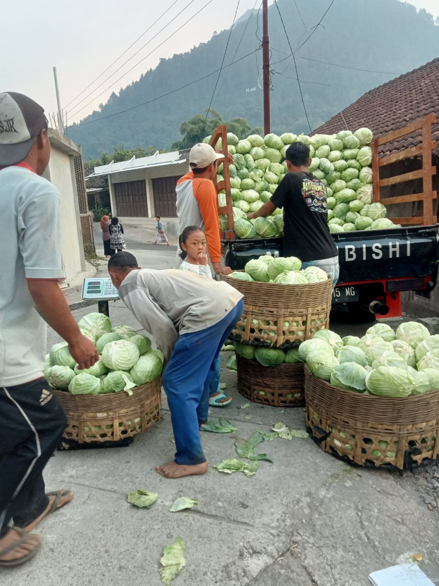 LikYoko's tweet photo. Merdeka tp lemes😔

Seledri Sewu
Kobis Sewu
Sawi mangatus
Jepan pitu seket https://t.co/D9sdjVKo7f