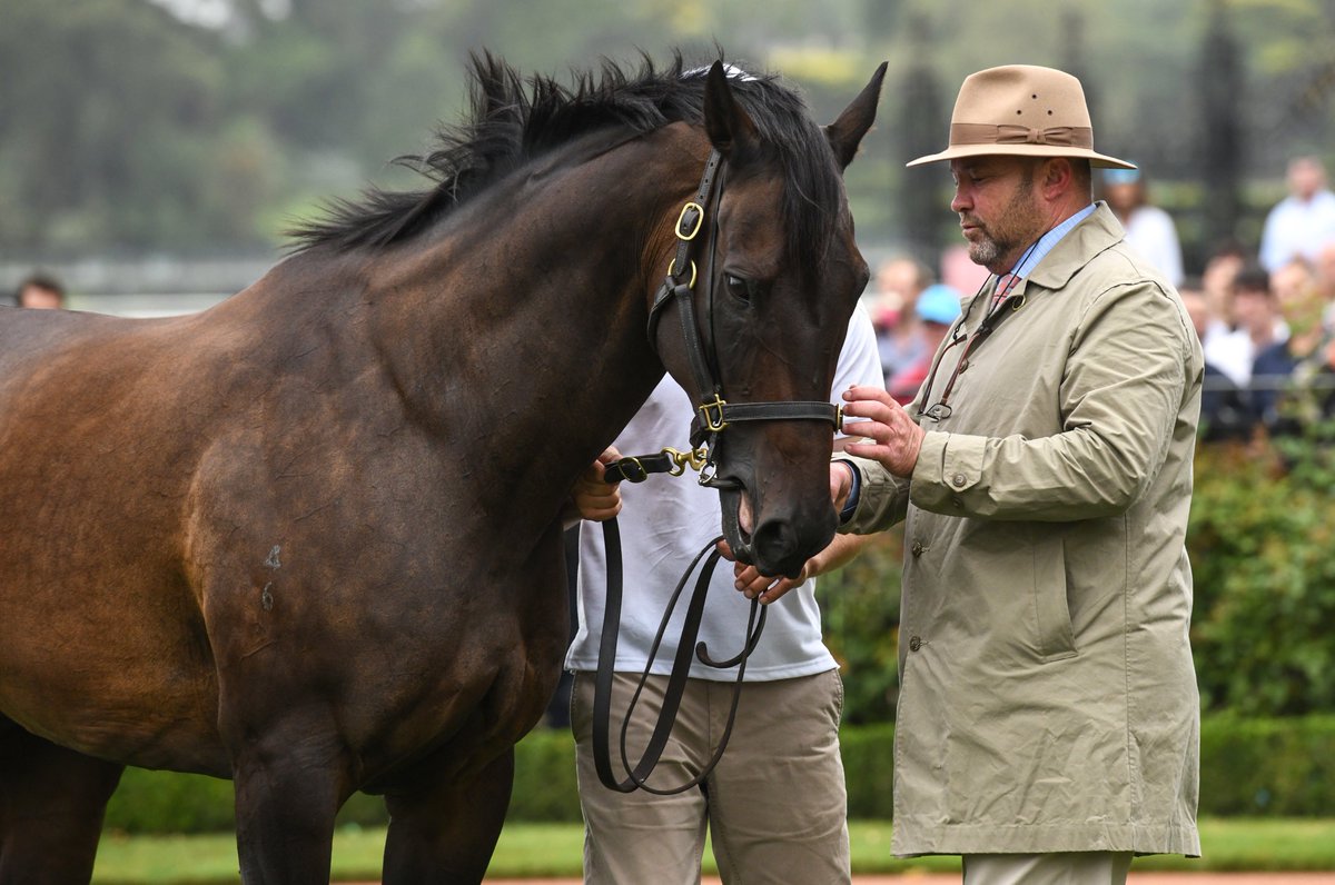 Devastating news with the passing of Black Caviar. She will be remembered as one of the greatest of all-time ❤️