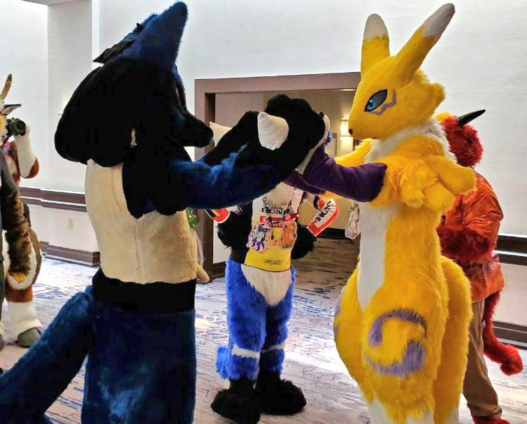 Veil, the Renamon tweet media